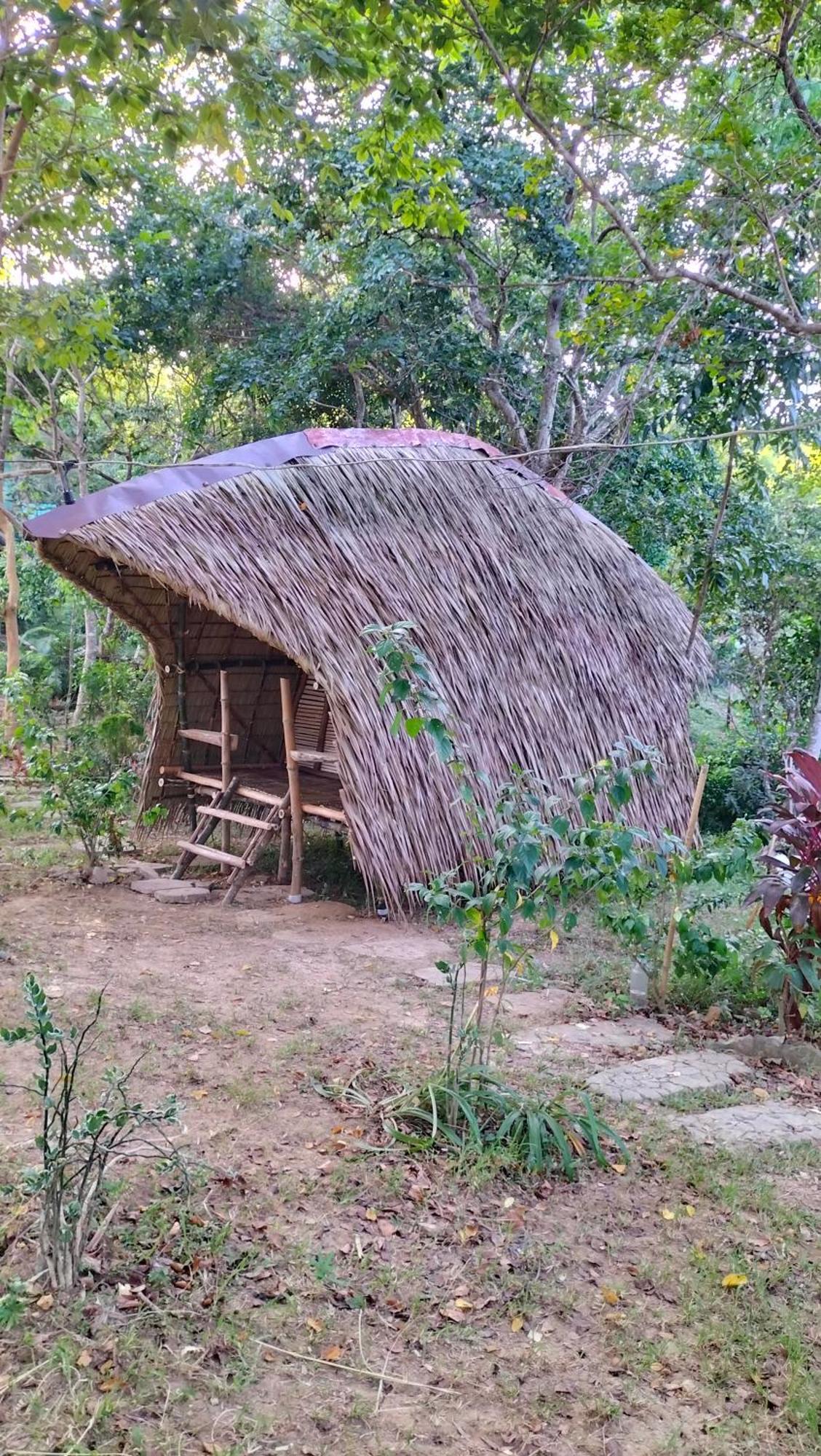 Erlittop Nature Lodge 爱妮岛 外观 照片