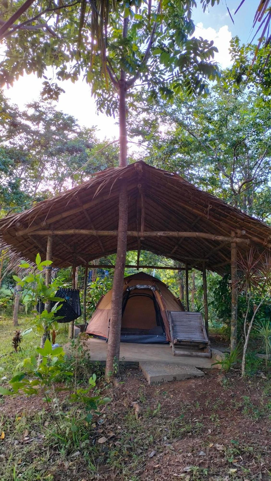 Erlittop Nature Lodge 爱妮岛 外观 照片