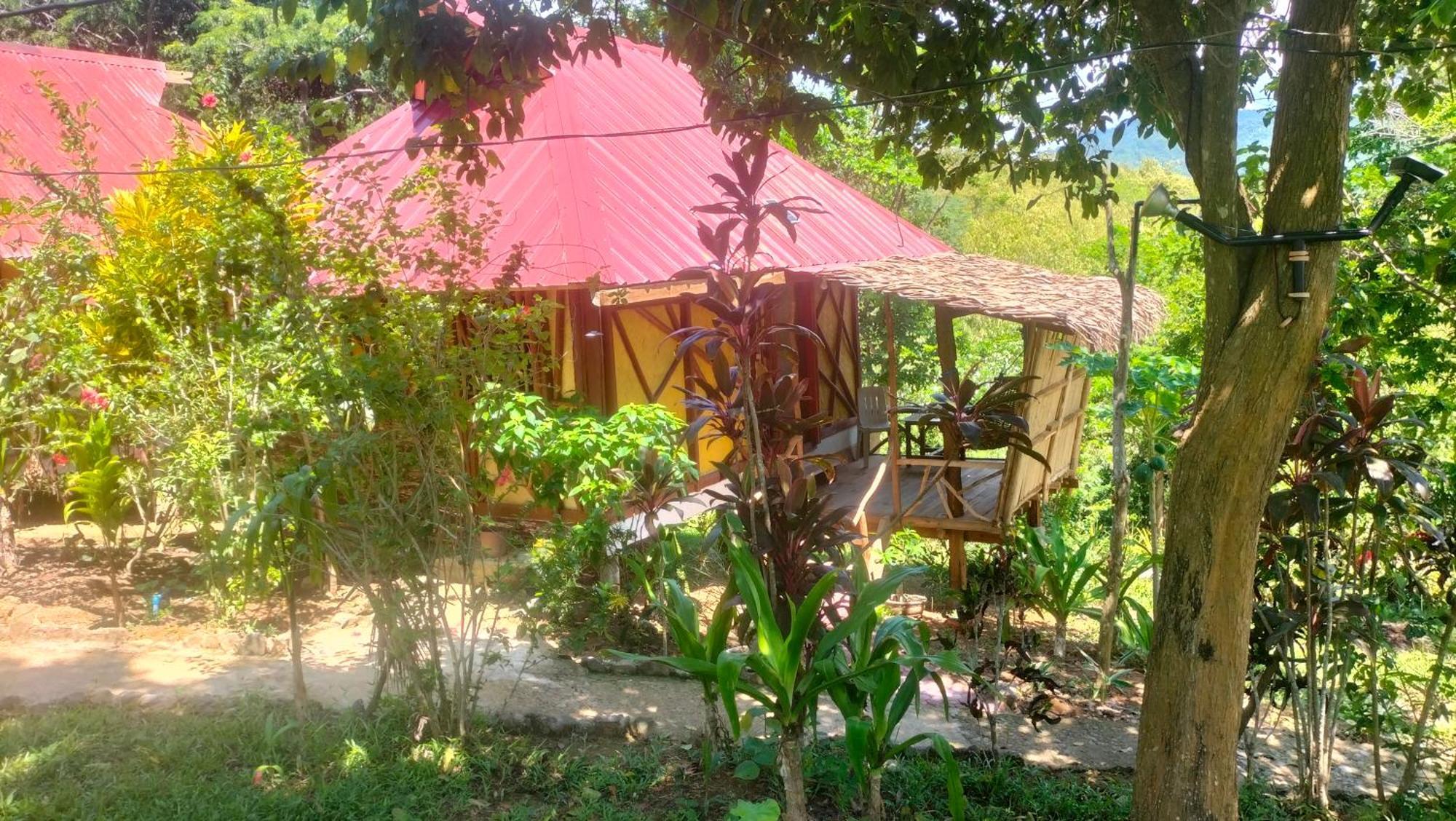 Erlittop Nature Lodge 爱妮岛 外观 照片